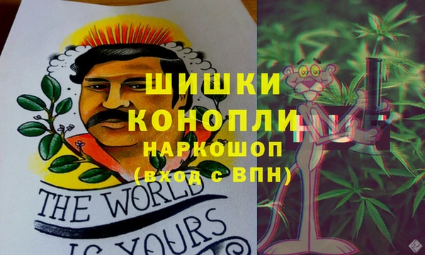 соль ск Алексин
