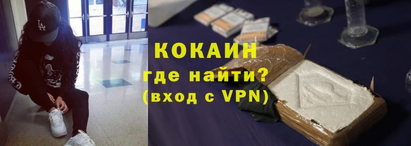 соль ск Алексин
